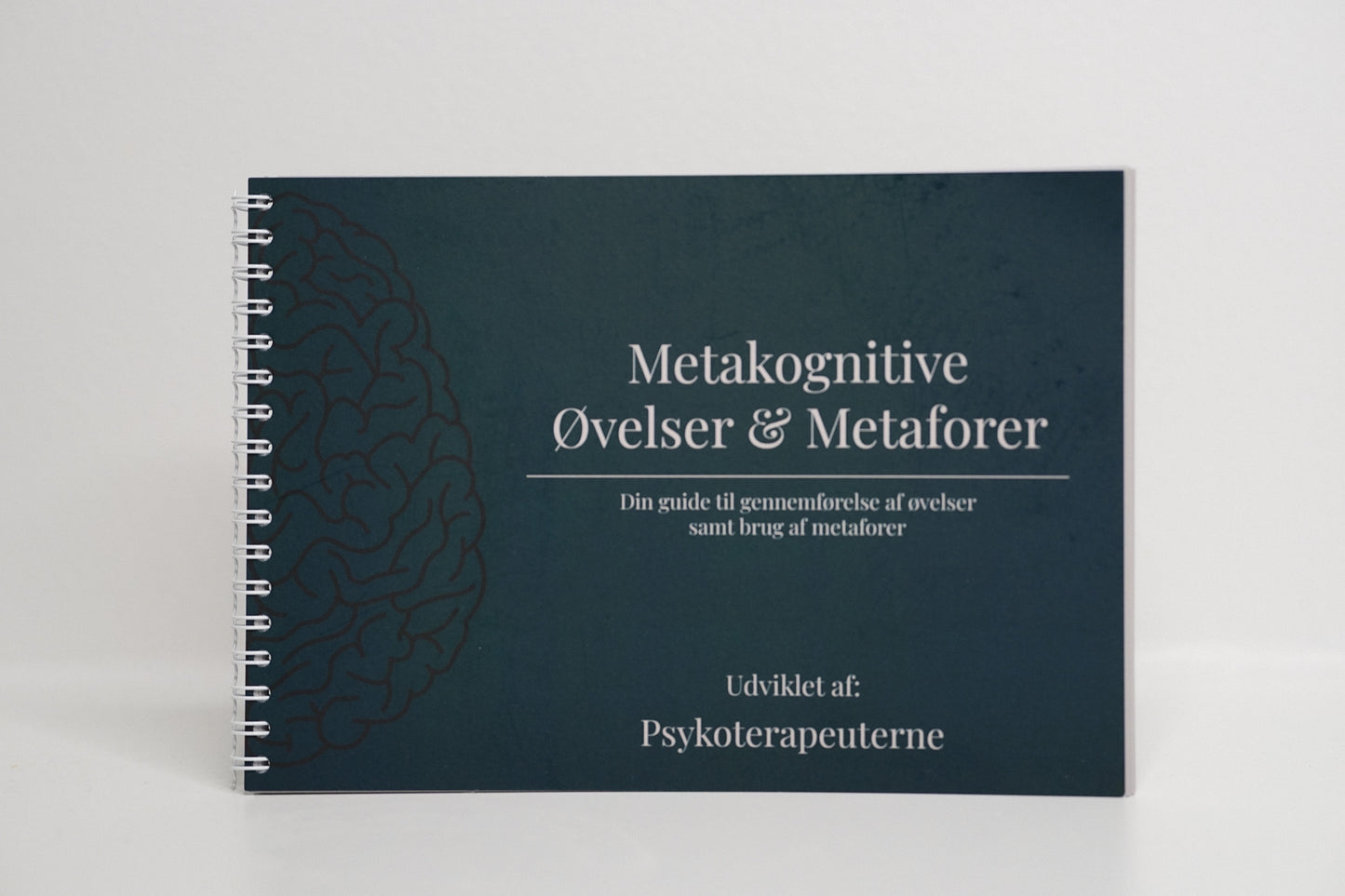 Metakognitive Øvelser & Metaforer.